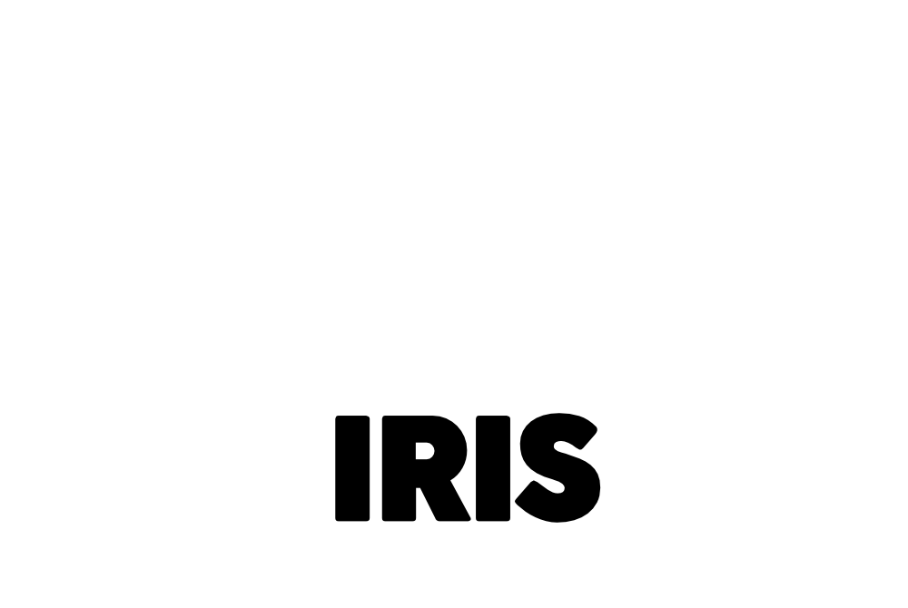 Iris Arc Pictures - International Production Liaison